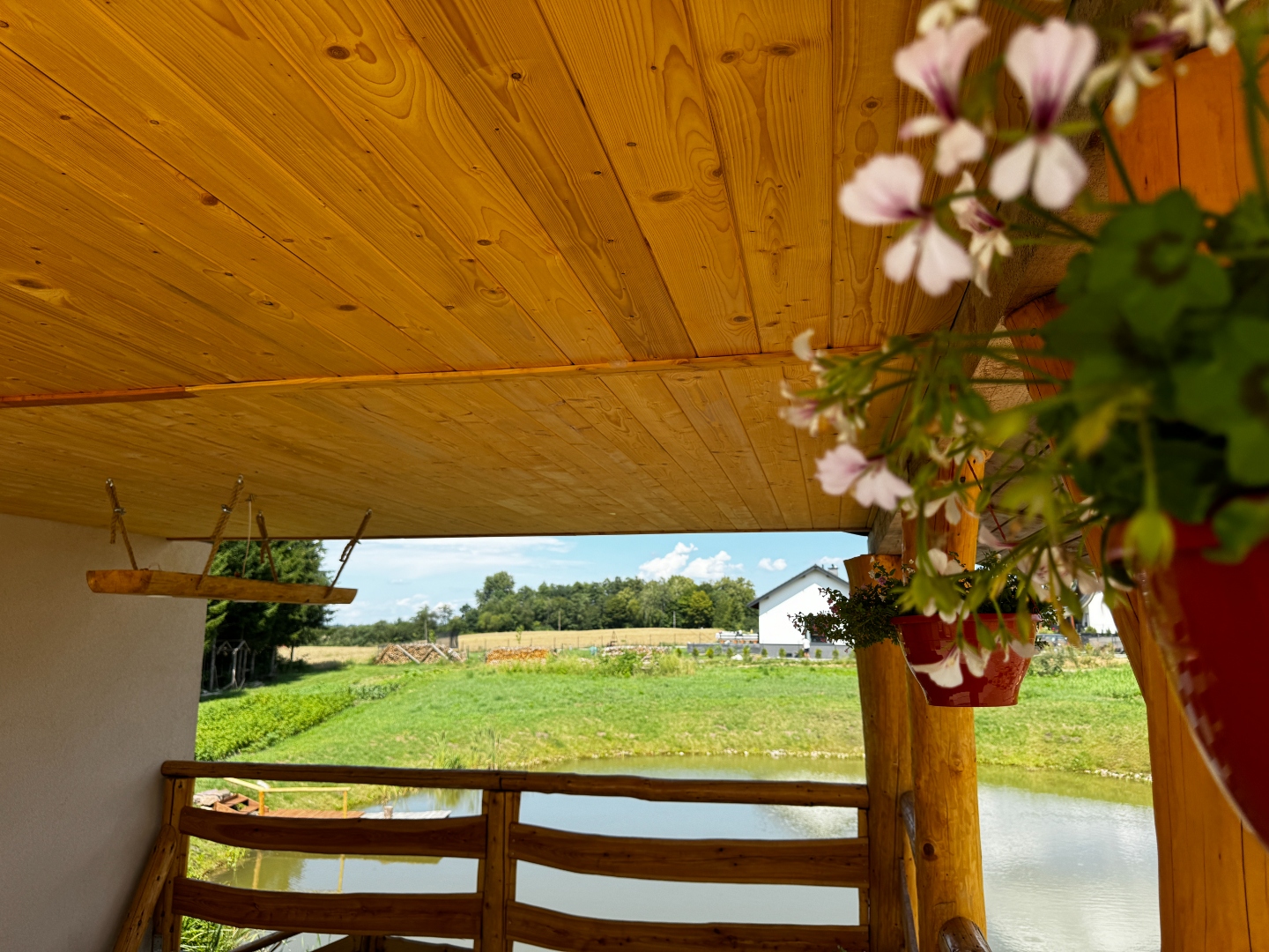 Ogród – kwiaty i zieleń